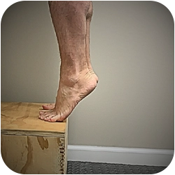 Chiropractic Warsaw IN Plantar Fasciitis Exercise Calf Raise